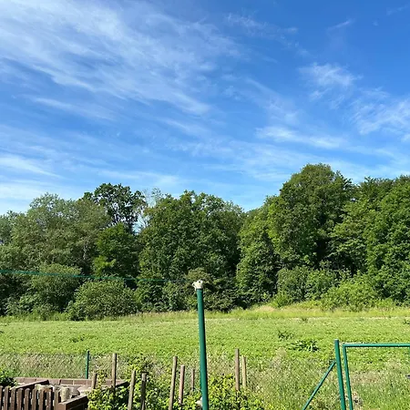 Winzenburg In Der Naehe Vom Steinhuder Und Dinopark Muenchehagen Apartment *